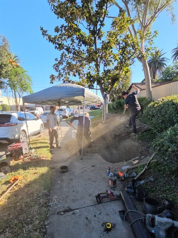 Sewer line excavation, Commercial property grounds